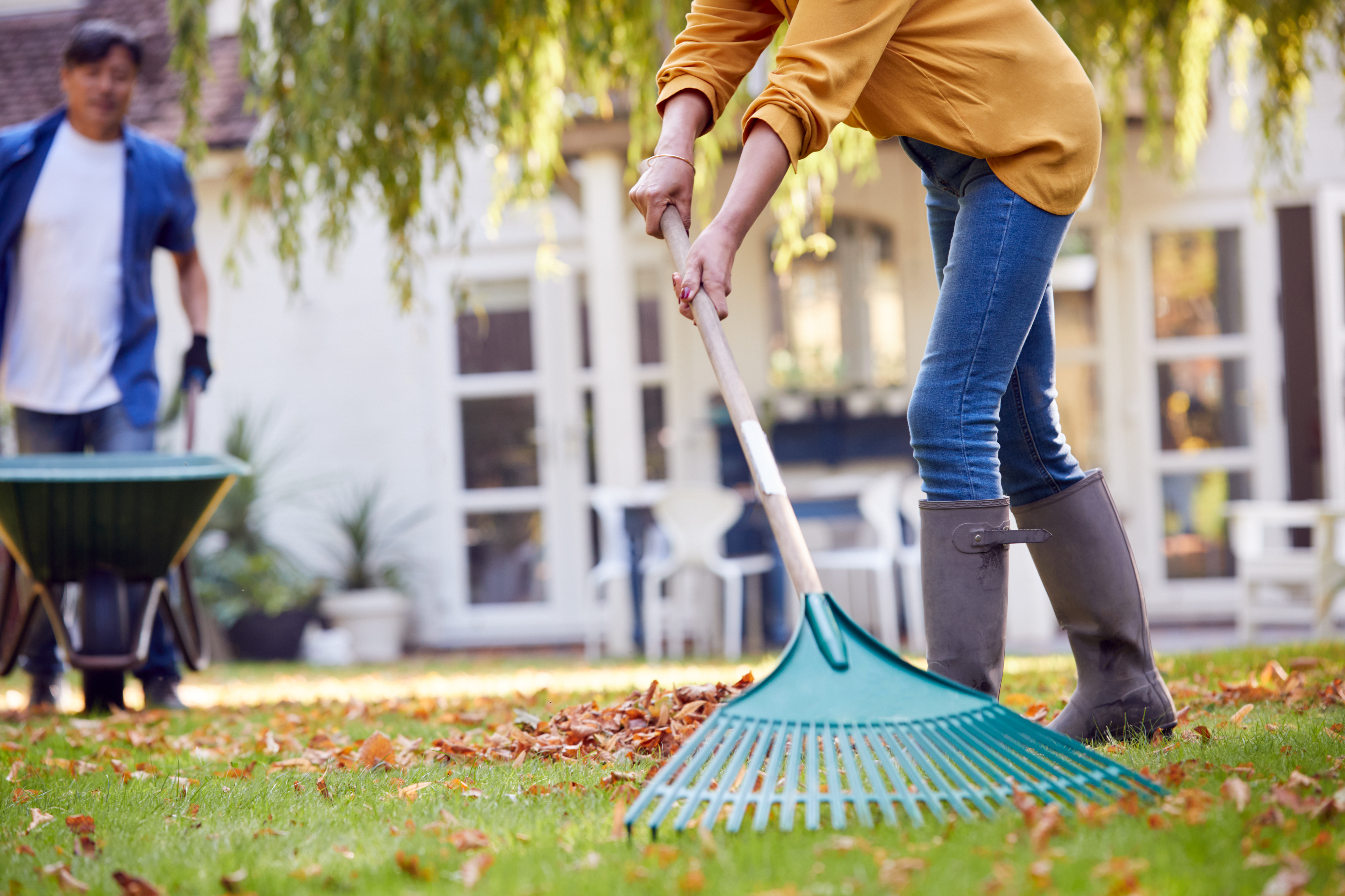Oh My Raking Back!
